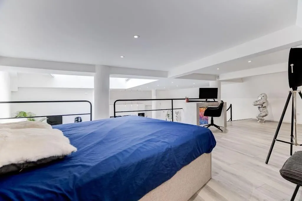 Magnifique Loft Au Coeur De Nice 0*,  France