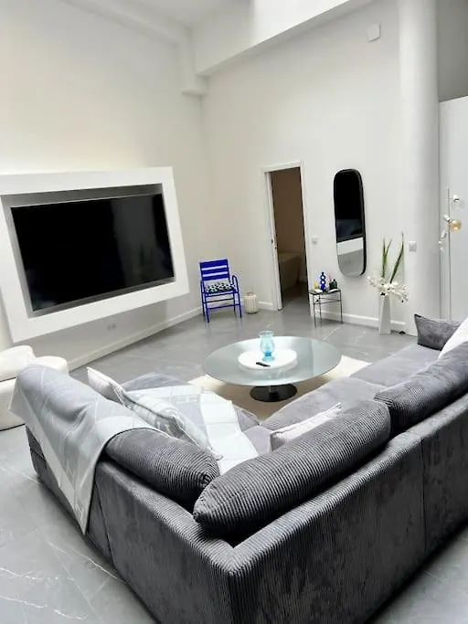 Magnifique Loft Au Coeur De Nice