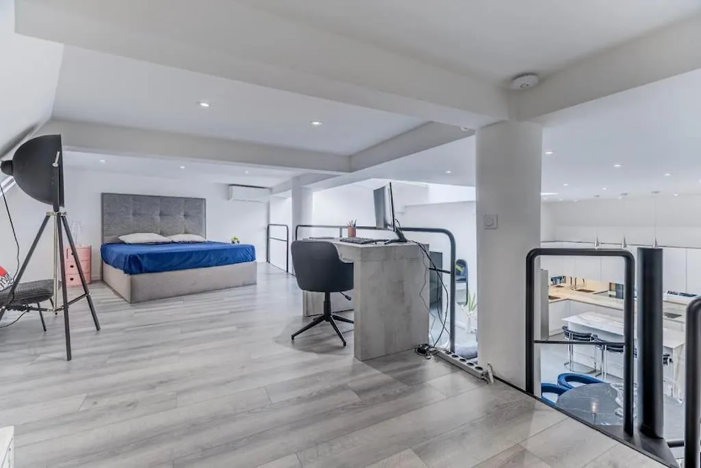 Magnifique Loft Au Coeur De Nice France